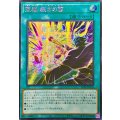 ☆アジア☆聖魔裁きの雷【シークレット】{アジア25PP-JP020}《魔法》