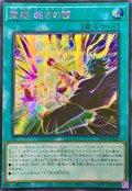 ☆アジア☆聖魔裁きの雷【シークレット】{アジア25PP-JP020}《魔法》