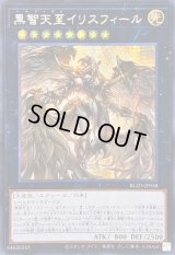 ☆アジア☆黒智天至イリスフィール【シークレット】{アジアBLZD-JP048}《エクシーズ》