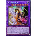 ☆アジア☆光と闇の竜王【シークレット】{アジアINFO-JP034}《融合》