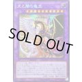 〔状態B〕☆アジア☆光と闇の竜王【シークレット】{アジアINFO-JP034}《融合》