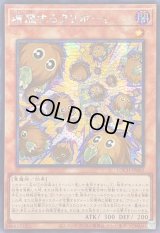 ☆アジア☆増殖するクリボー!【シークレット】{アジアLOCH-JP002}《モンスター》