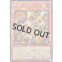 ☆アジア☆増殖するクリボー!【シークレット】{アジアLOCH-JP002}《モンスター》