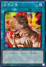 ☆アジア☆突然変異【シークレット】{アジアLOCH-JP067}《魔法》