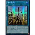☆アジア☆竜の霊廟【シークレット】{アジアQCCP-JP194}《魔法》