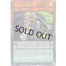 画像1: 〔状態B〕☆アジア☆賤竜の魔術師【クォーターセンチュリーシークレット】{アジアQCCU-JP080}《モンスター》