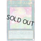〔状態A-〕☆アジア☆メルフィーのかくれんぼ【クォーターセンチュリーシークレット】{アジアQCCU-JP179}《魔法》