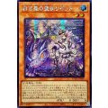 〔状態A-〕☆アジア☆白き森の聖徒リゼット【シークレット】{アジアSUDA-JP008}《モンスター》