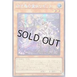 画像1: 〔状態B〕☆アジア☆白き森の聖徒リゼット【シークレット】{アジアSUDA-JP008}《モンスター》
