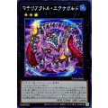 ☆アジア☆マテリアクトルエクサガルド【シークレット】{アジアSUDA-JP045}《エクシーズ》