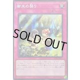 ☆アジア☆御巫の契り【シークレット】{アジアTTP1-JP073}《罠》
