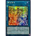 〔状態A-〕☆アジア☆御巫神楽【シークレット】{アジアTTP1-JP072}《魔法》