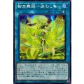 〔状態A-〕☆アジア☆御巫舞踊迷わし鳥【シークレット】{アジアTTP1-JP071}《魔法》