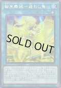 ☆アジア☆御巫舞踊迷わし鳥【シークレット】{アジアTTP1-JP071}《魔法》