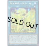☆アジア☆御巫舞踊迷わし鳥【シークレット】{アジアTTP1-JP071}《魔法》