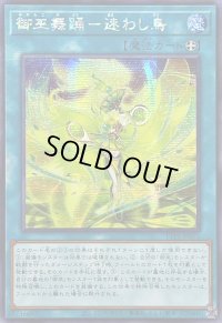 ☆アジア☆御巫舞踊迷わし鳥【シークレット】{アジアTTP1-JP071}《魔法》