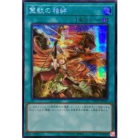 〔状態B〕☆アジア☆霊獣の相絆【シークレット】{アジアTW01-JP141}《魔法》