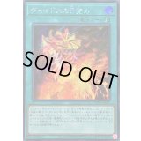 〔状態B〕☆アジア☆ヴェイドスの目覚め【シークレット】{アジアWPP5-JP037}《魔法》