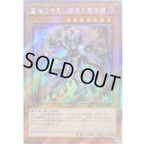 〔状態B〕☆アジア☆聖域に仕えし練達の魔導師【エクストラシークレット】{アジアWPP5-JP073}《モンスター》