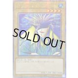 ☆アジア☆アクアマドール【クォーターセンチュリーシークレット】{アジアQCLP-JP002}《モンスター》