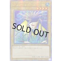 〔状態A-〕☆アジア☆アクアマドール【クォーターセンチュリーシークレット】{アジアQCLP-JP002}《モンスター》