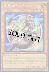 ☆アジア☆星辰槍手ルキアス【シークレット】{アジアDBJH-JP001}《モンスター》