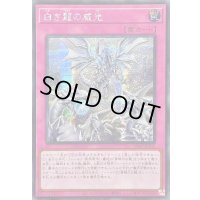 〔状態B〕☆アジア☆白き龍の威光【シークレット】{アジアSD47-JPP05}《罠》