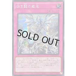 画像1: 〔状態A-〕☆アジア☆白き龍の威光【シークレット】{アジアSD47-JPP05}《罠》