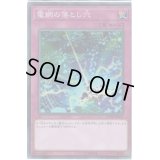 〔状態B〕電網の落とし穴【シークレット】{FLOD-JP076}《罠》