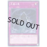 王墓の罠【ノーマル】{SR07-JP036}《罠》