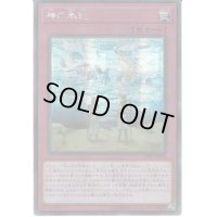〔状態B〕☆アジア☆神の氷結【シークレット】{アジア20PP-JP019}《罠》