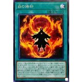 〔状態A-〕白の烙印【シークレット】{LIOV-JP055}《魔法》