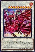 〔状態B〕ブラッドローズドラゴン【シークレット】{LIOV-JP035}《シンクロ》