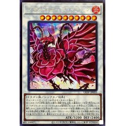 画像1: 〔状態A-〕ブラッドローズドラゴン【シークレット】{LIOV-JP035}《シンクロ》