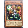 〔状態B〕カズーラの蟲惑魔【ノーマル】{LVP2-JP064}《モンスター》