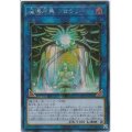 〔状態B〕☆アジア☆魔導原典クロウリー【シークレット】{アジアLVP1-JP036}《リンク》