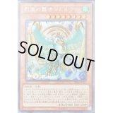〔状態B〕烈風の覇者シムルグ【シークレット】{RIRA-JP021}《モンスター》