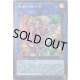 〔状態B〕天威の龍仙女【シークレット】{RIRA-JP044}《リンク》