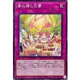 春化精と花蕾【ノーマル】{POTE-JP075}《罠》