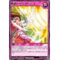 断絶のサイコウォール【レア】{RD/CP01-JP040}《RD罠》