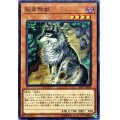 〔状態B〕孤高除獣【ノーマル】{SAST-JP030}《モンスター》
