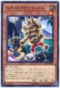 エキストラケアトップス【ノーマル】{SAST-JP031}《モンスター》