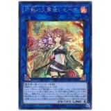 〔状態B〕灼熱の火霊使いヒータ【シークレット】{SAST-JP056}《リンク》