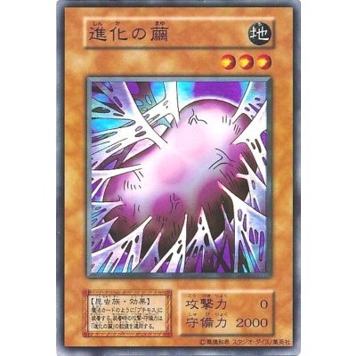 〔状態B〕進化の繭(初期)【スーパー】{Vol.4}《モンスター》