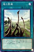 竜の霊廟【ノーマル】{SR11-JP030}《魔法》