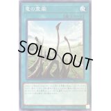 竜の霊廟【ノーマル】{SR11-JP030}《魔法》