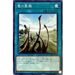 画像1: 竜の霊廟【ノーマル】{SR11-JP030}《魔法》