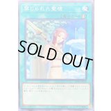 禁じられた聖槍【ノーマル】{ST19-JP028}《魔法》