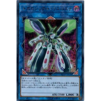 〔状態B〕トポロジックトゥリスバエナ【レリーフ】{FLOD-JP036}《リンク》