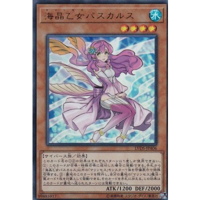 〔状態B〕海晶乙女パスカルス【ウルトラ】{LVDS-JPA06}《モンスター》